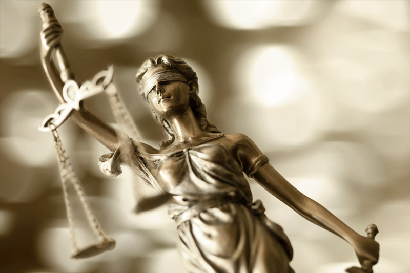susan-cole-home1 Criminal Law